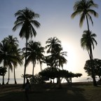 Tobago Jazz Experience 2017